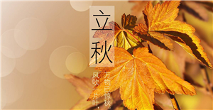 【立秋】來臨，卅亞和您共同迎接秋天的到來